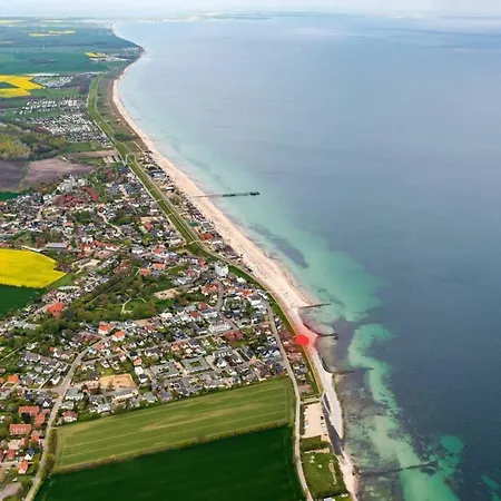 Hagelstein-iii-herzmuschel *