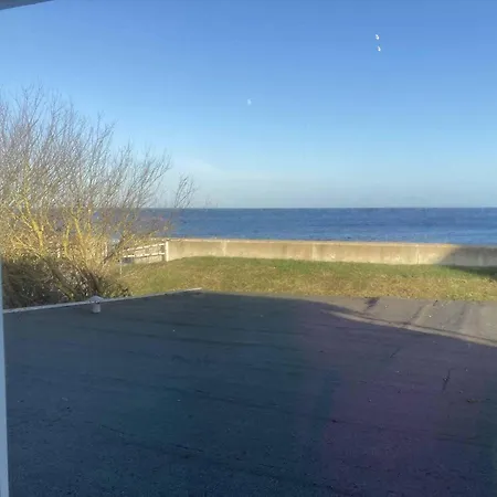 Hagelstein-iii-herzmuschel Dahme