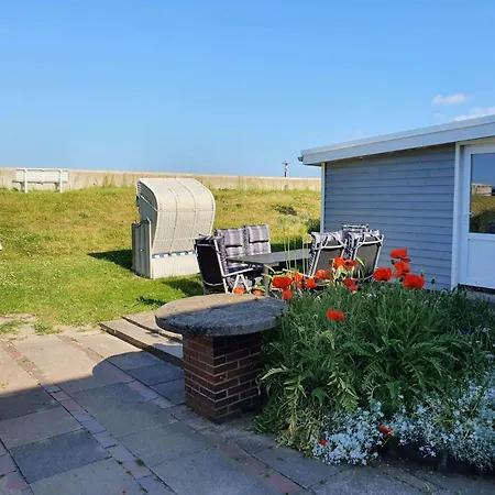 Hagelstein-iii-herzmuschel