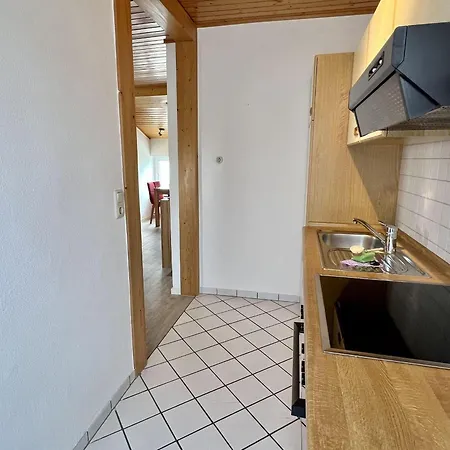 Hagelstein-iii-herzmuschel Daire