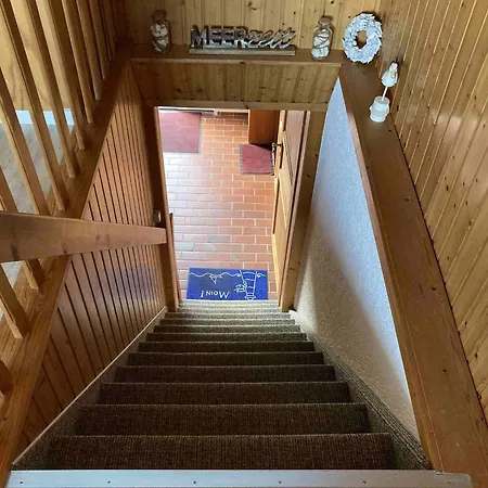 Daire Hagelstein-iii-herzmuschel