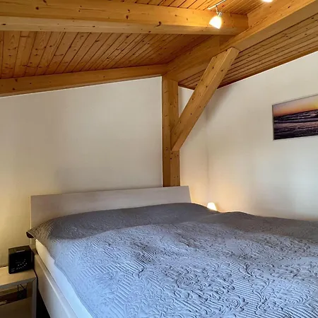 Hagelstein-iii-herzmuschel