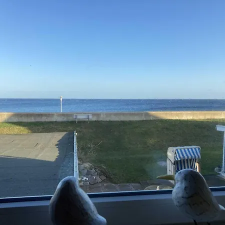 Hagelstein-iii-herzmuschel Lägenhet Dahme (Schleswig-Holstein)